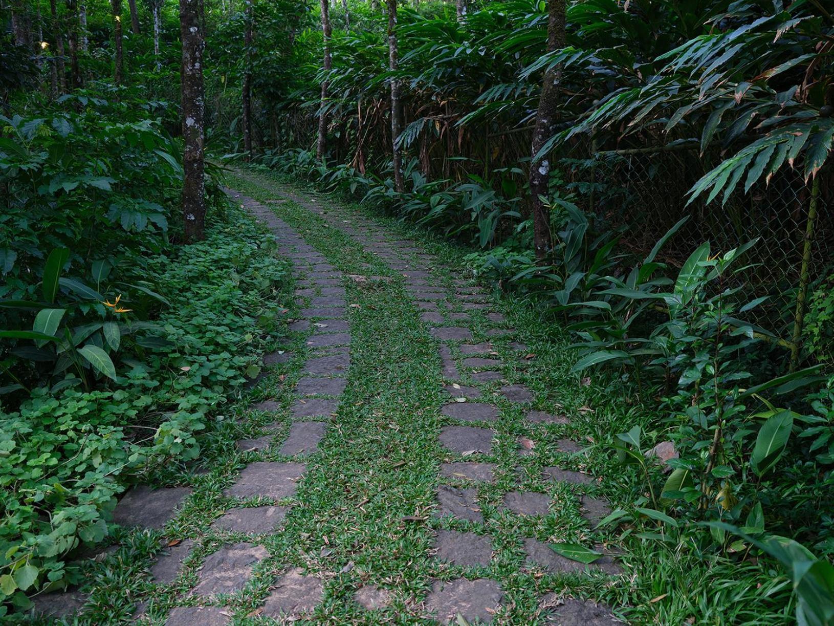 Mystic Mayapott, Thekkady Zewnętrze zdjęcie