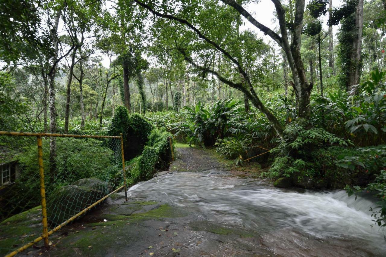 Mystic Mayapott, Thekkady Zewnętrze zdjęcie